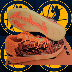 Modelo de tênis de basquete 7